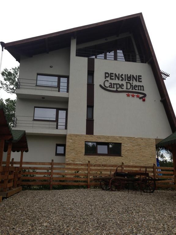 Pensiunea Carpe Diem Римніку-Вилча Екстер'єр фото